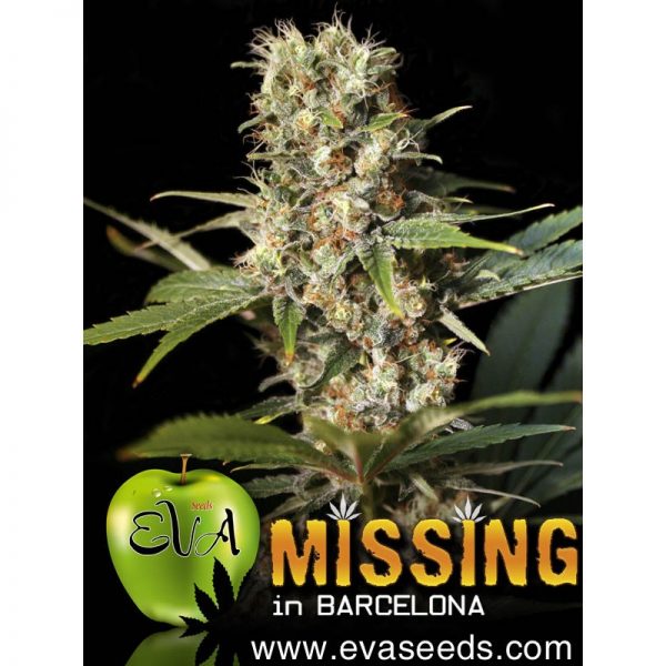 missing-in-barcelona (1)
