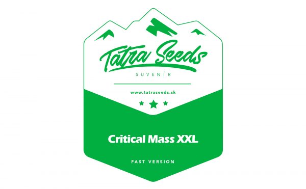 CRITICAL MASS XXL FAST VERSION - TATRA SEEDS