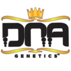 DNA SEEDS