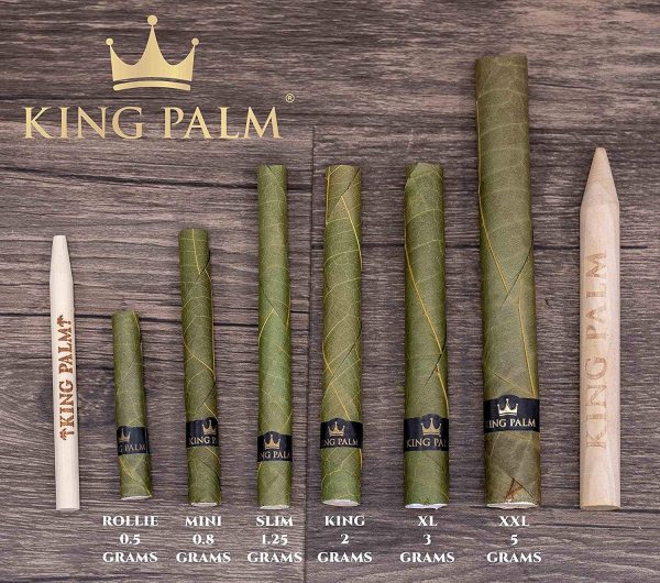king palm rollies