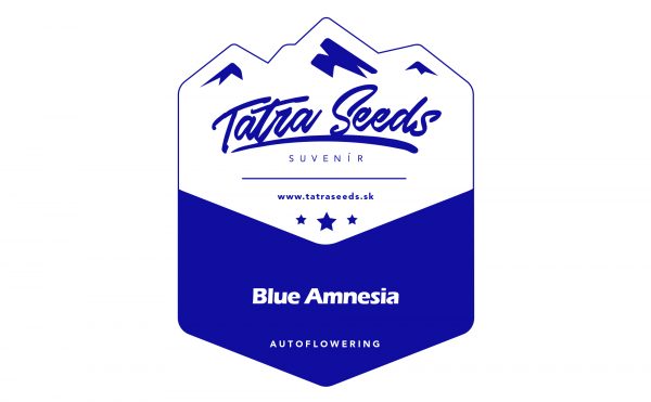 Auto Blue Amnesia – Tatra Seeds