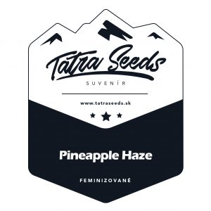 pineapple haze tatra seeds
