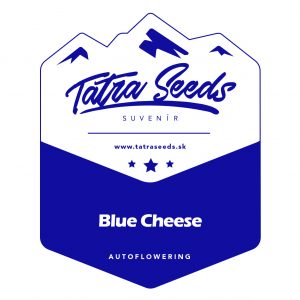 AUTO BLUE CHEESE - TATRA SEEDS