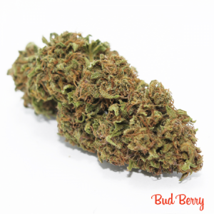 CBD Bud Berry