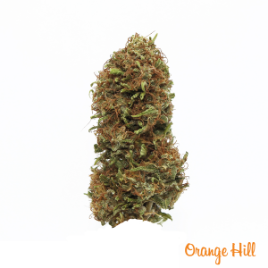 CBD Orange Hill