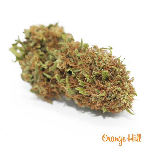 orange-hill-2