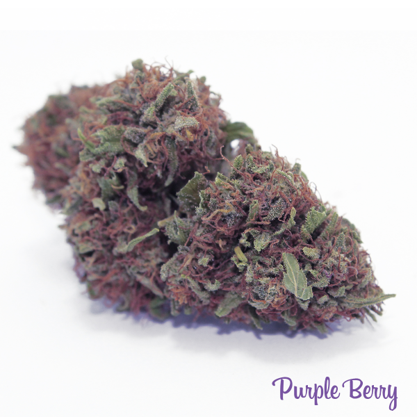 CBD Purple Berry
